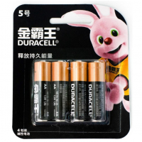 Duracell_CN5_AA_4_Preview
