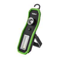 Tesla UFL Black-Green 001